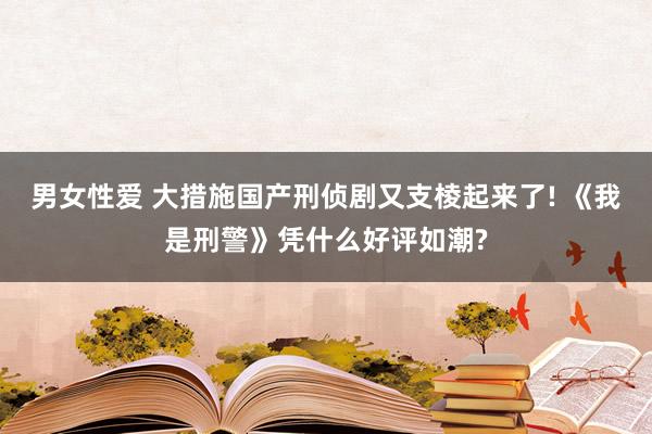 男女性爱 大措施国产刑侦剧又支棱起来了! 《我是刑警》凭什么好评如潮?