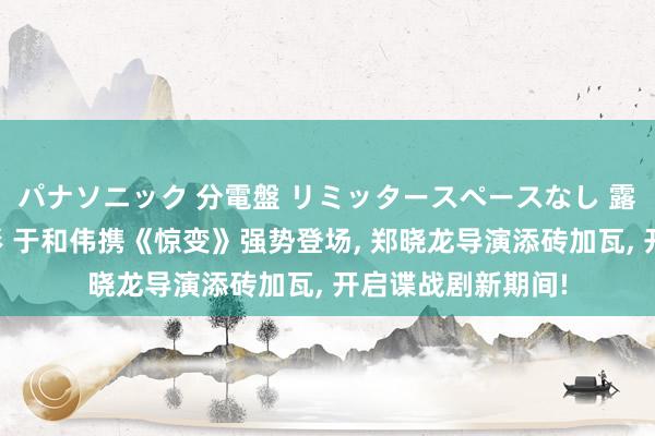 パナソニック 分電盤 リミッタースペースなし 露出・半埋込両用形 于和伟携《惊变》强势登场， 郑晓龙导演添砖加瓦， 开启谍战剧新期间!